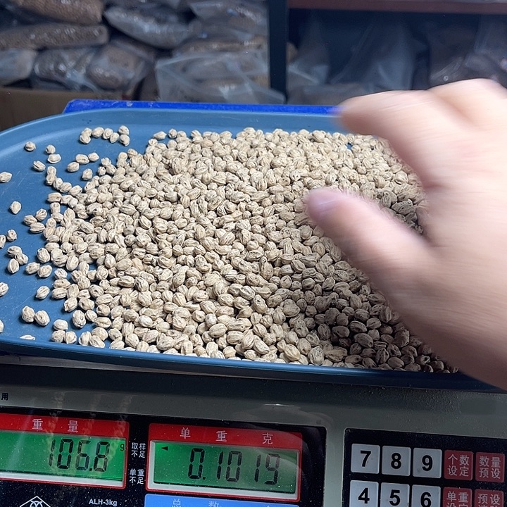 柏香籽/百香籽吊坠50克练手籽