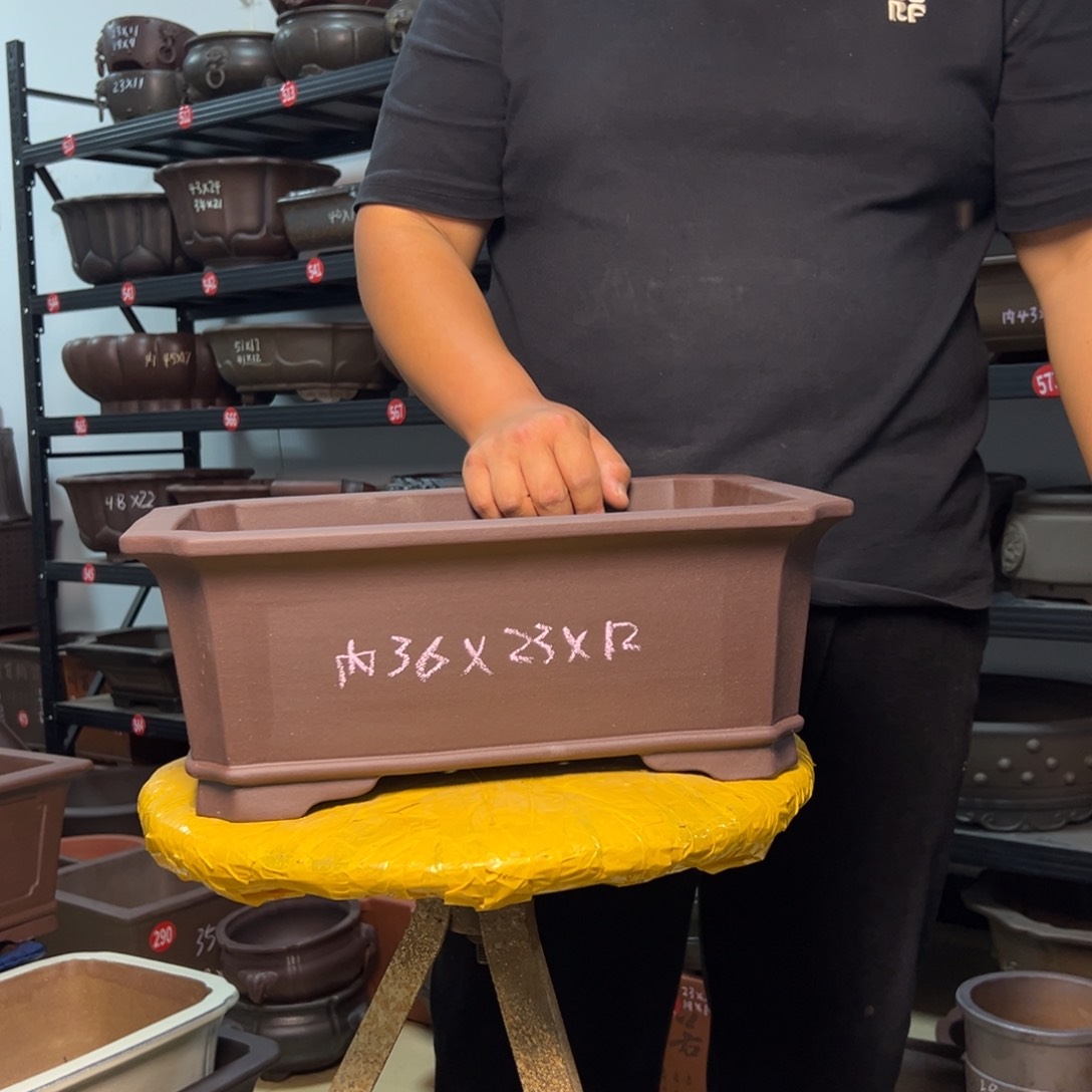 紫砂花盆呜呜呜呜呜我真的