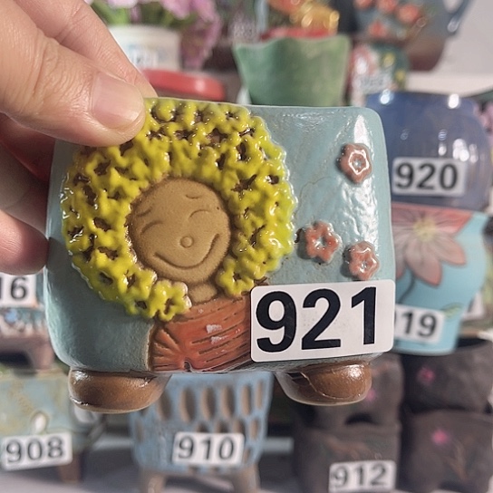 红陶多肉植物花盆