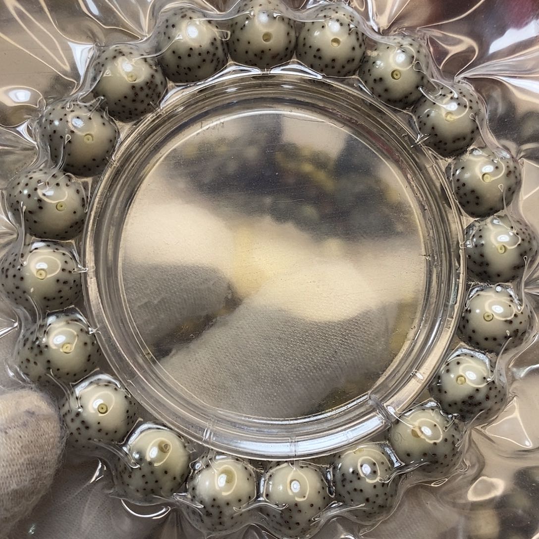 星月菩提吊坠?原生态