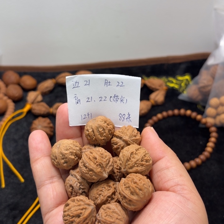 手串文玩核桃珊瑚纹单圈12+1