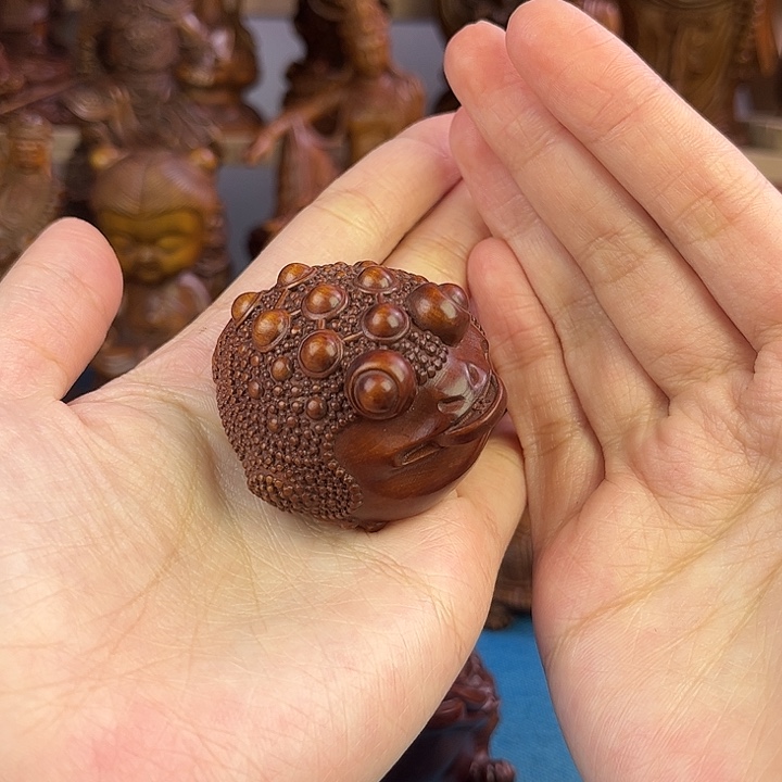 黄杨木小叶黄杨木