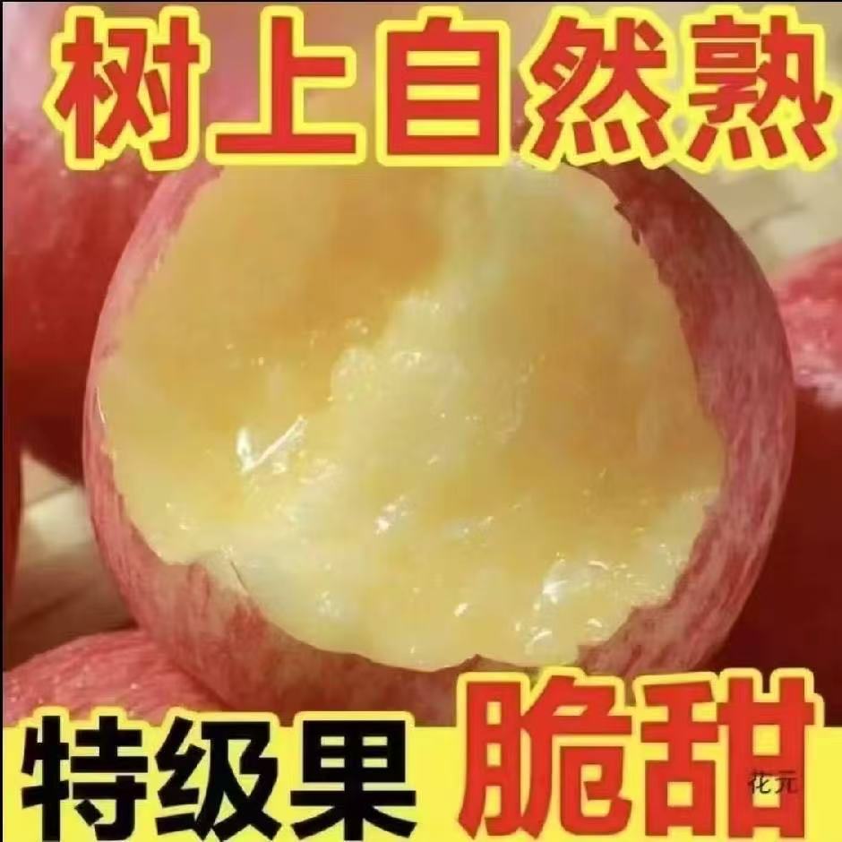 高山产地冰糖心红富士苹果新鲜应季脆甜多汁水果