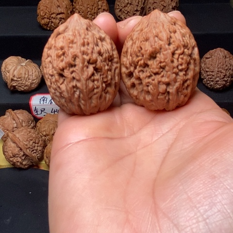 文玩核桃全品蒜头尺335