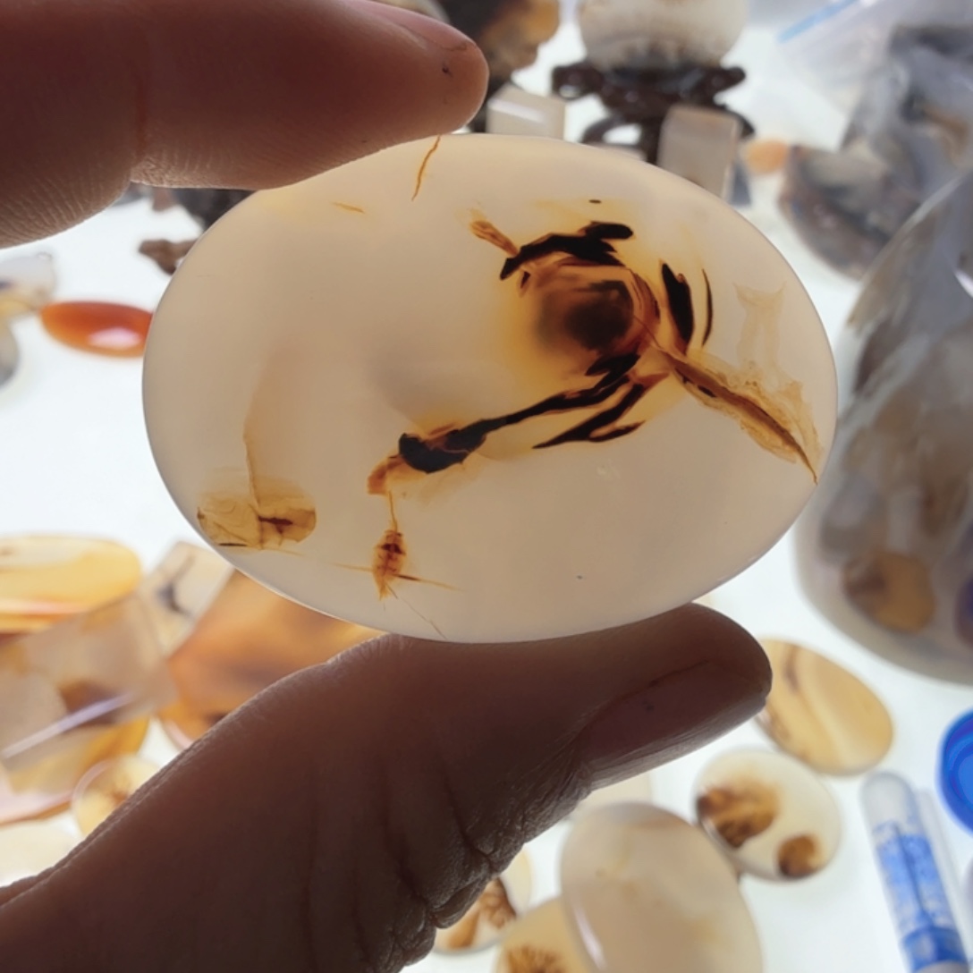 未镶嵌玛瑙/玉髓珠宝半成品
