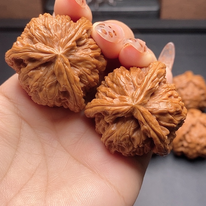 炮***哥大叶紫檀（黑酸枝木类）