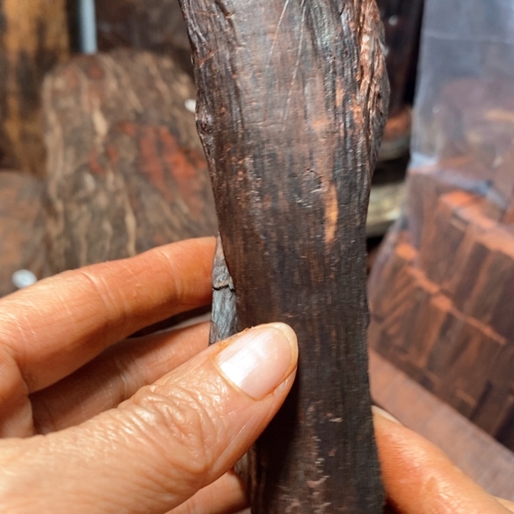 印度小叶紫檀原材老料