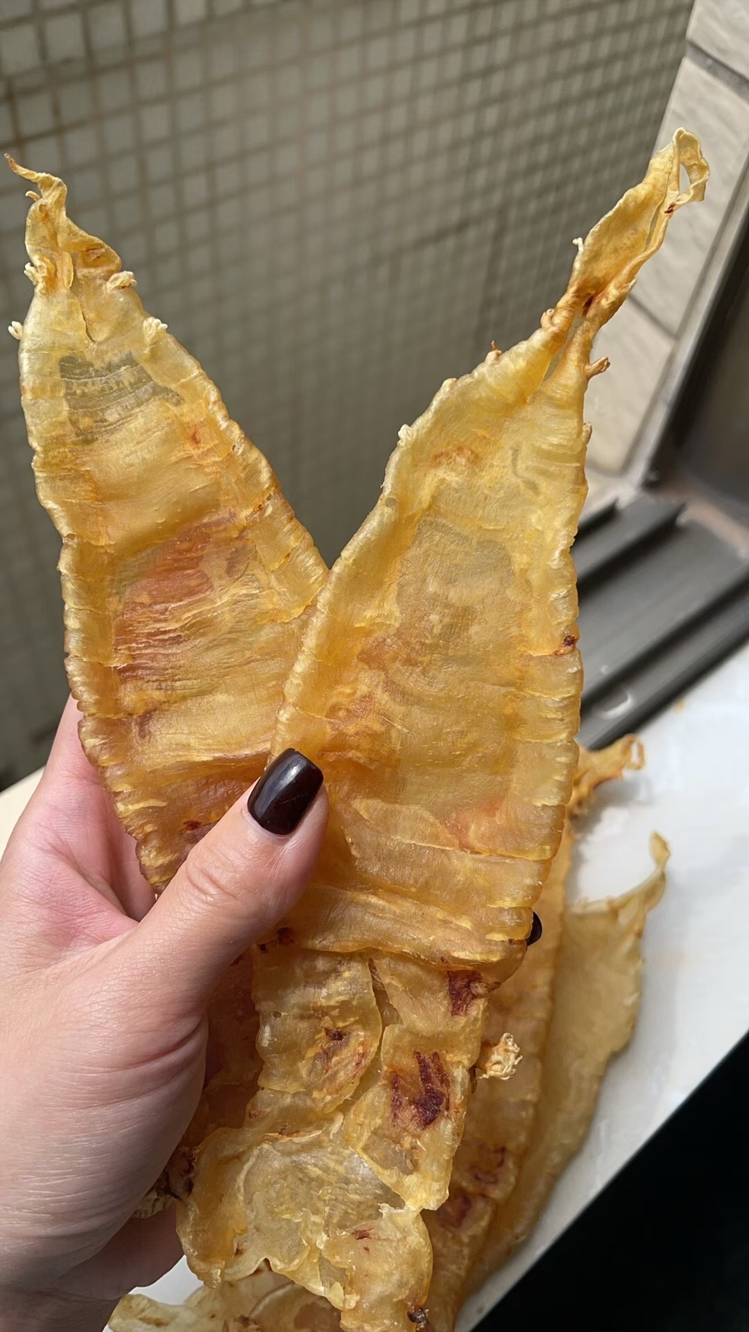 南澳表妹赤嘴母条渔民货