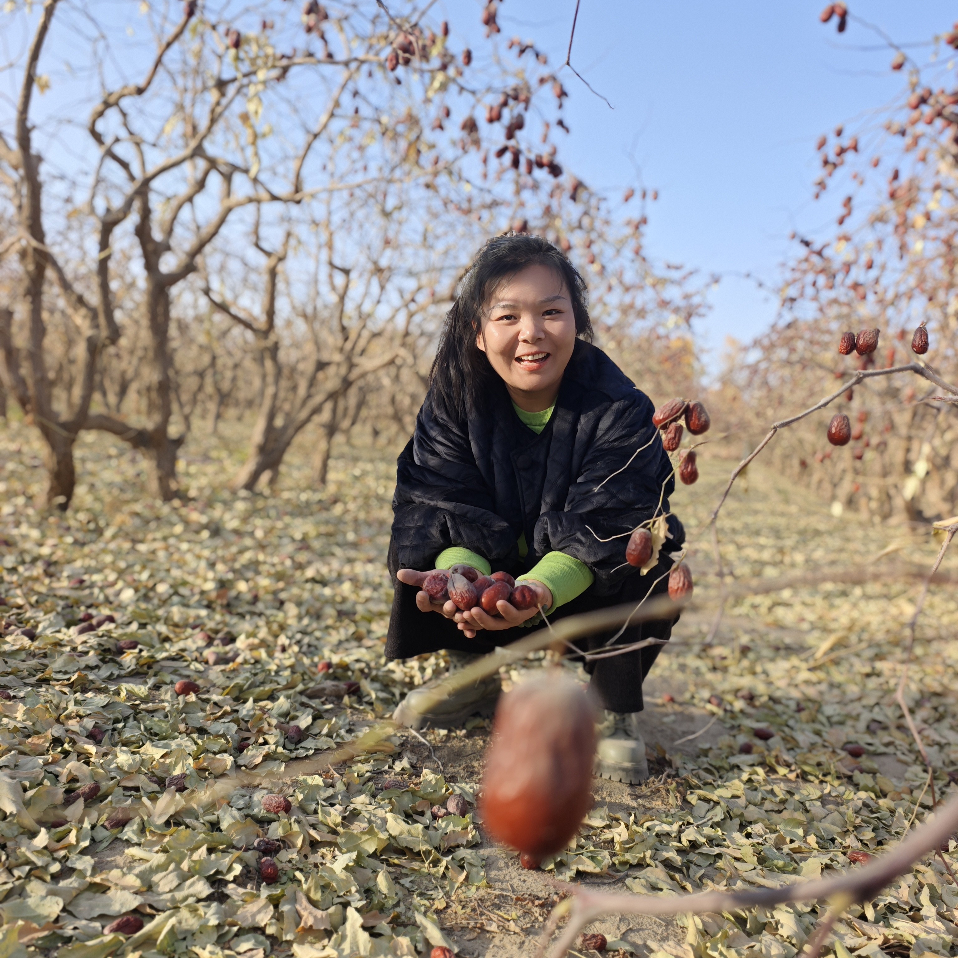 新疆和田大枣拍五发六原产地发货包邮到家