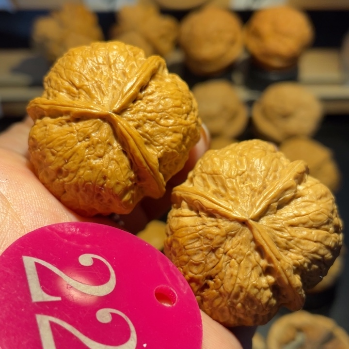 七星三棱核桃尺寸38