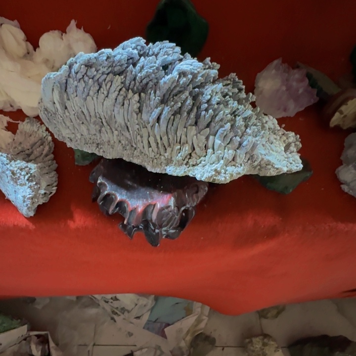 ****少金属图图哦哦哦哦哦哦哦哦