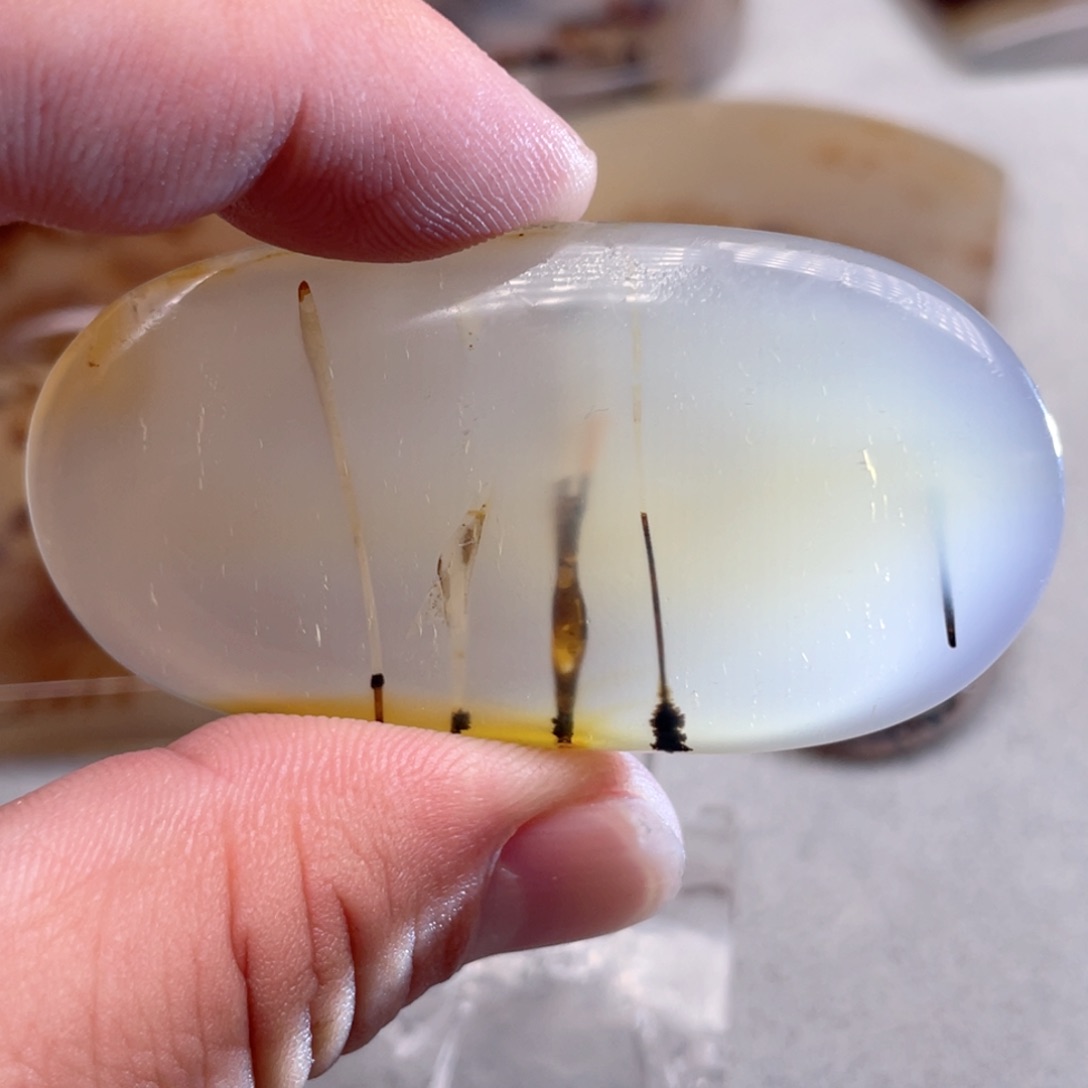 【闪购商品】玛瑙/玉髓颈饰合金