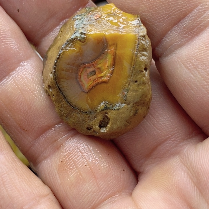 平**乐河北宣化战国红奇石