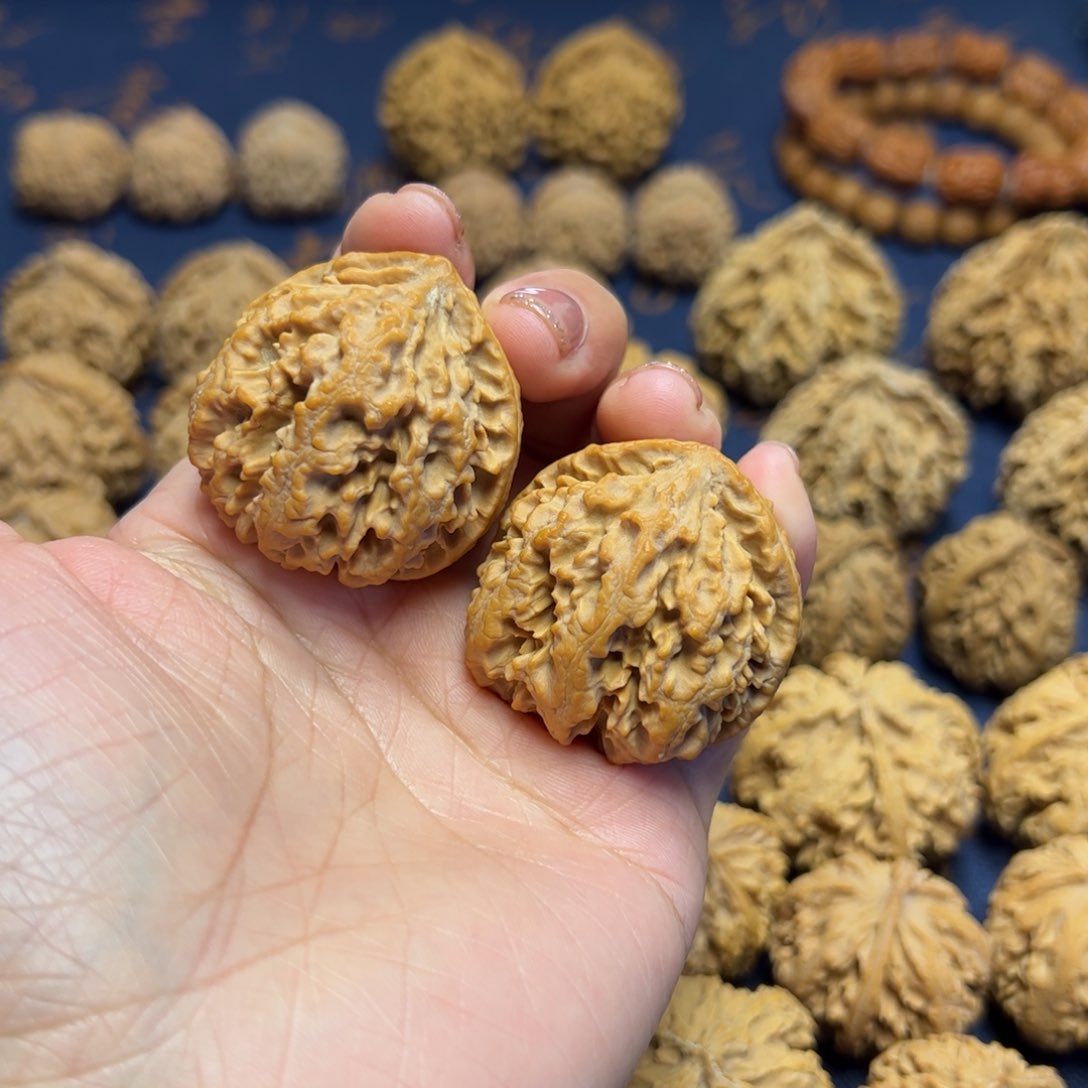 文玩核桃把件秦岭野生植物核桃