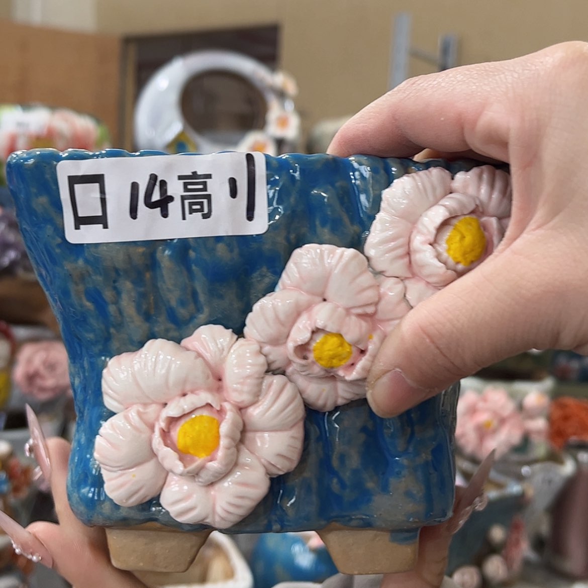 【闪购商品】红陶福利