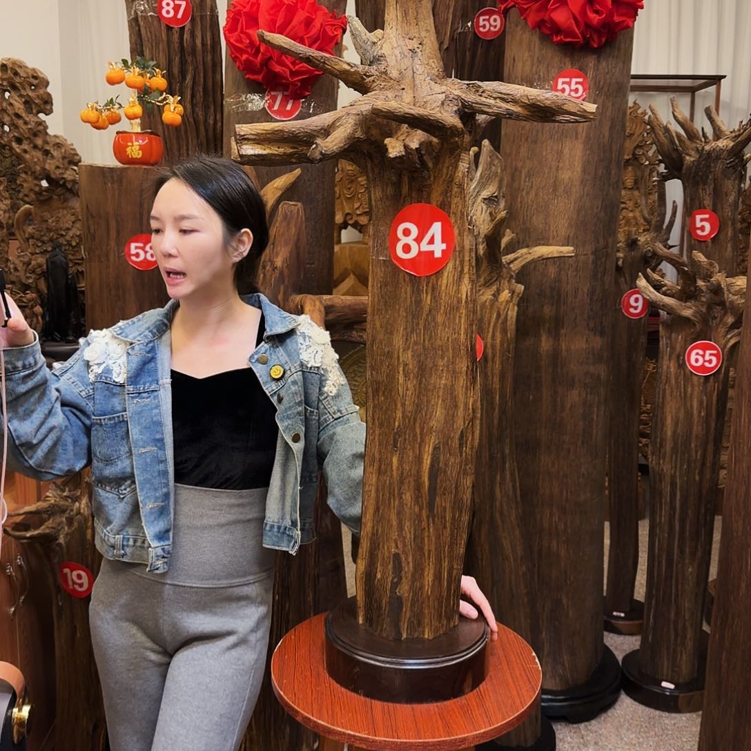 山***娃沉香材料沉香原材料