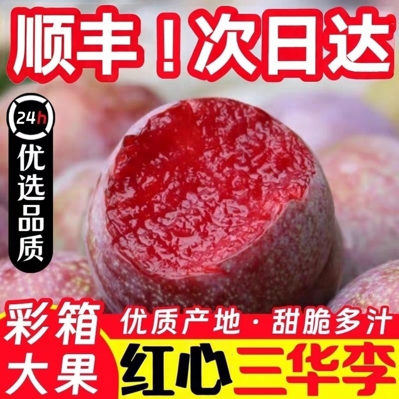 （顺丰次日达）广东红心三华李李子酸甜现摘水果5斤李子同城送广东省