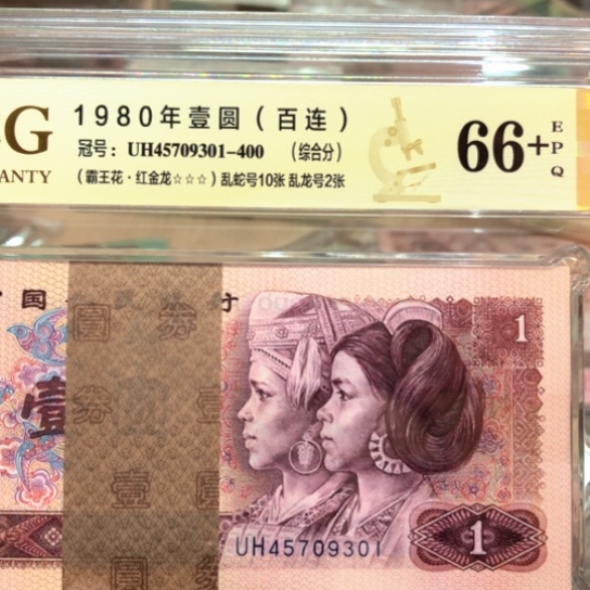 45709301百连红金龙——