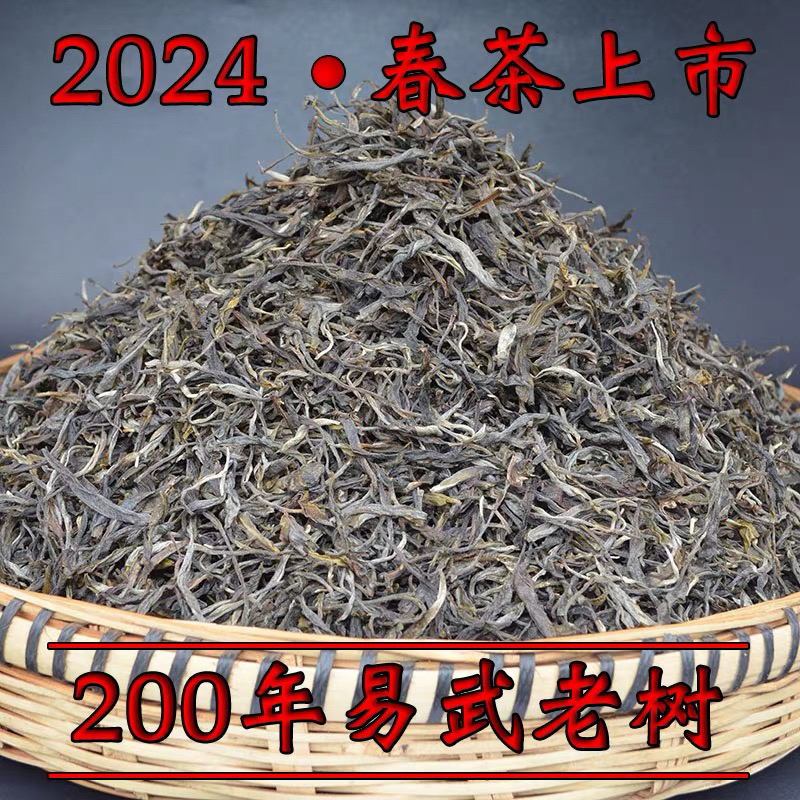 易武古树生茶头春散茶大分量