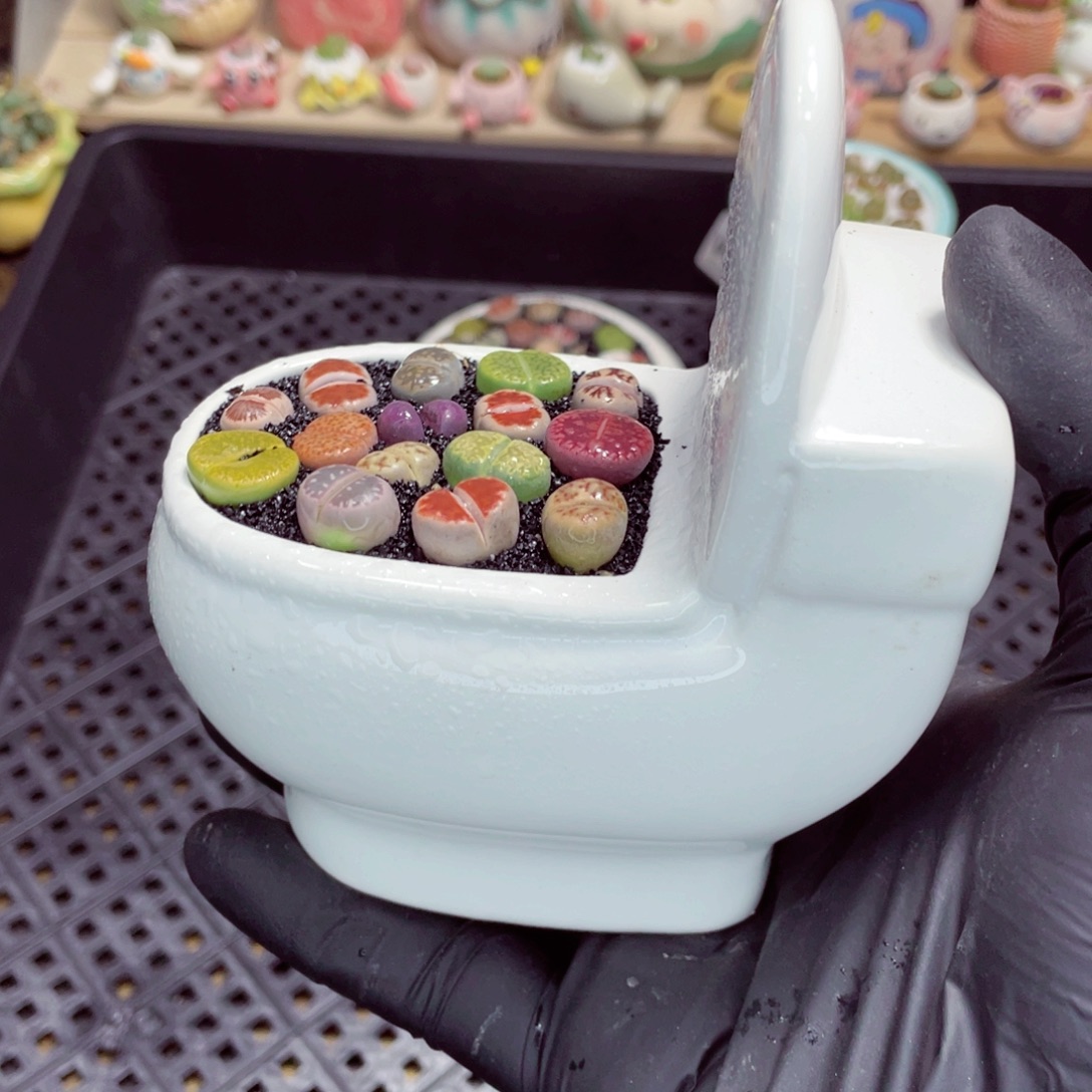 夜间零下地区拍保温箱w3720