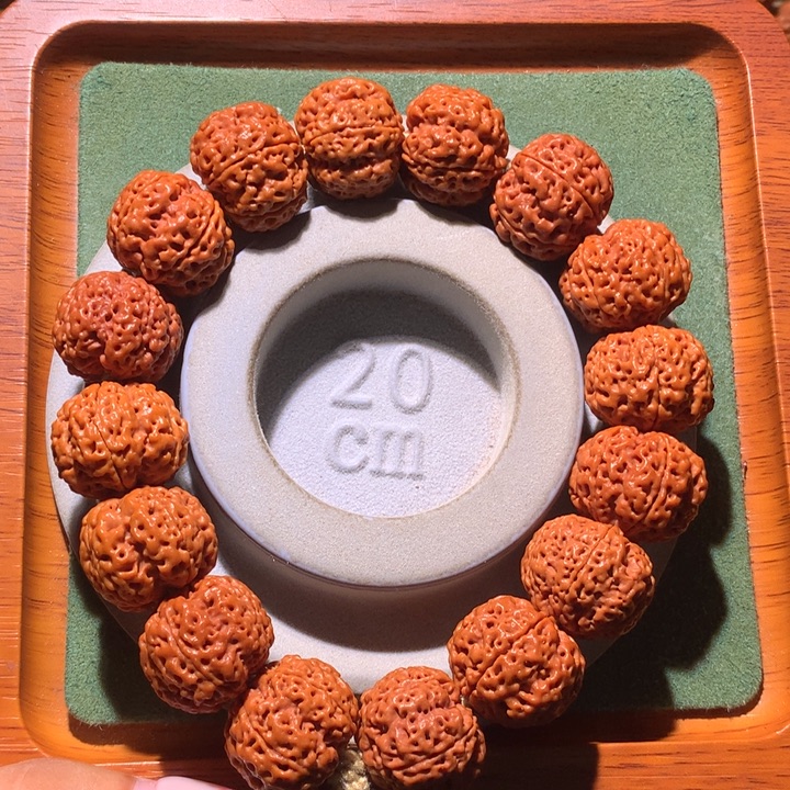 手串金刚菩提开播福利21+梁梅花