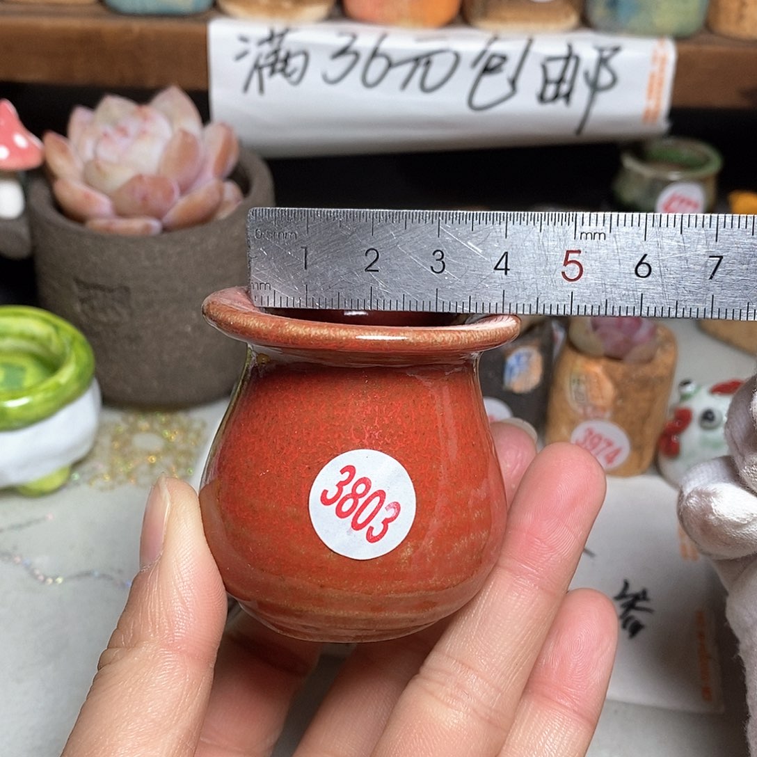 红陶拍5送一个小