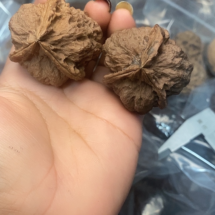 文玩核桃吊坠42号43mm