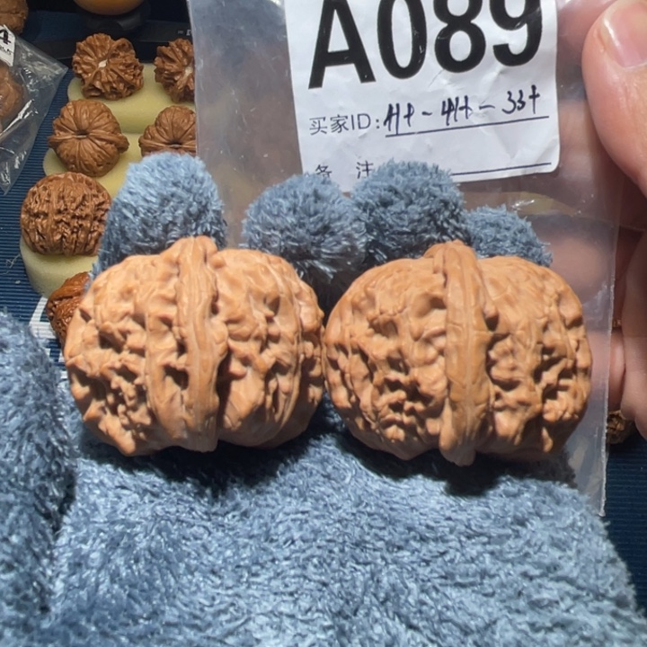 文玩核桃把件白狮子41全品