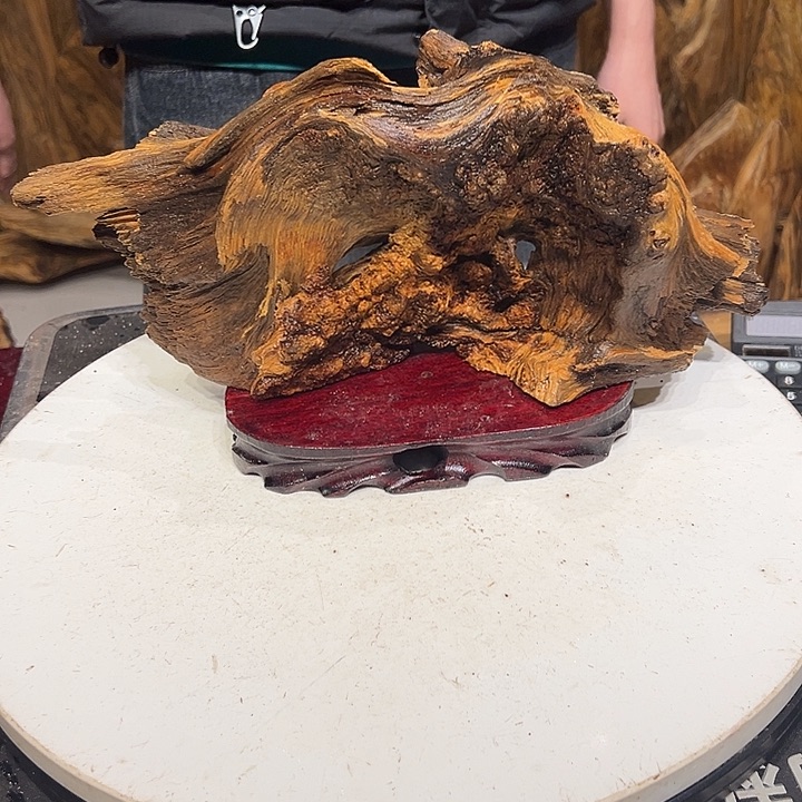 松木（琥珀木）风**忆