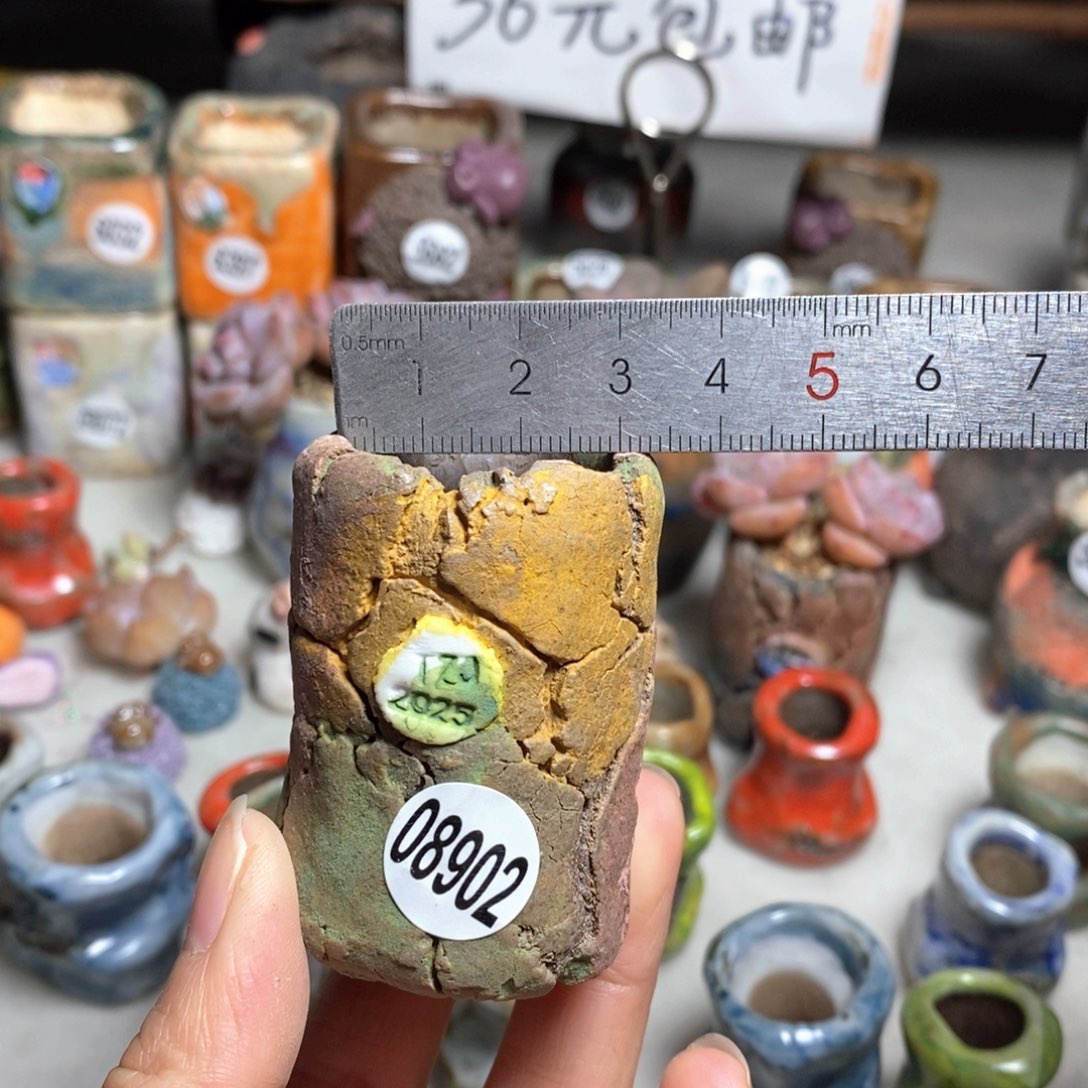 多肉花盆拍3送一个小礼物