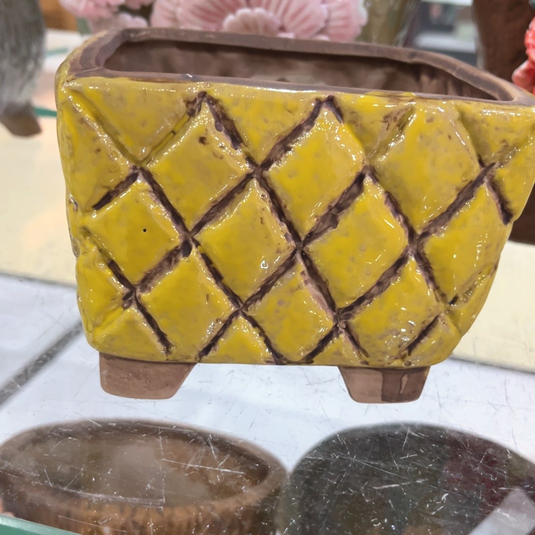 红陶福利福利福利福利