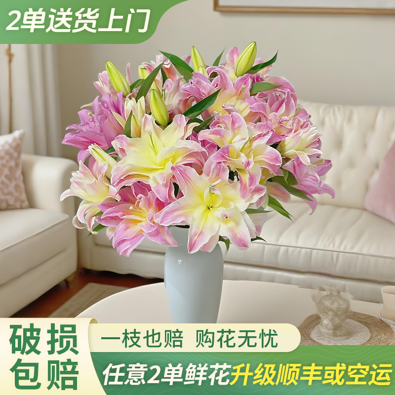 【大聪明卖花】彩虹糖-重瓣百合 任意两单升级顺丰冷链或德邦快递