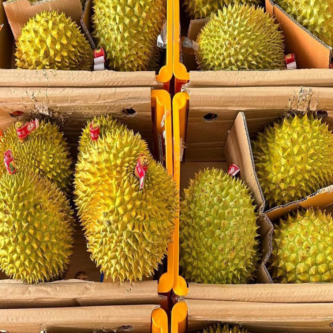 博新鲜金枕生包死包夹肉裂口榴莲3-10斤瑕疵烤榴莲不理赔顺丰包邮核大干尧越南社会主义共和国