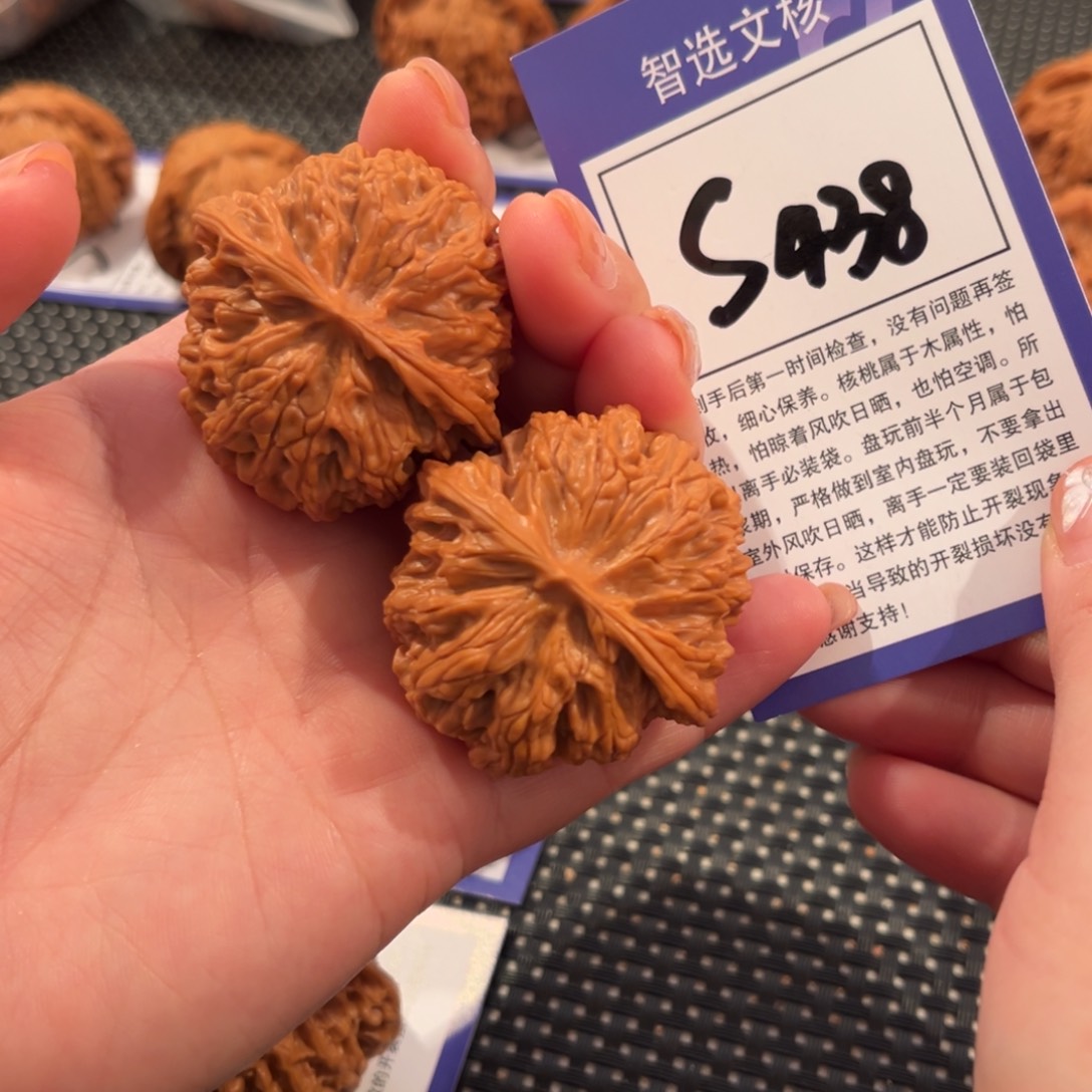 核桃S438号苹果园42尺