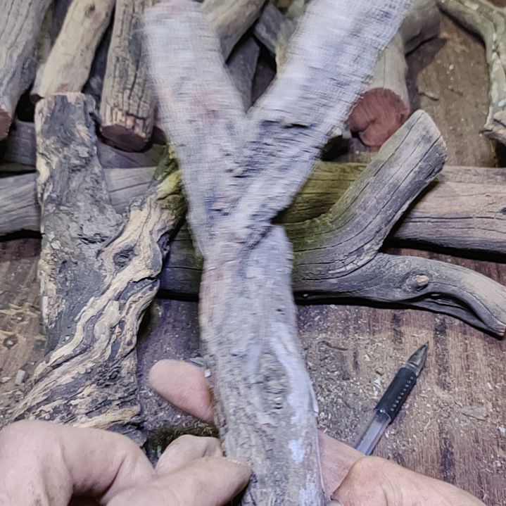 こ***う火琉璃原杈不保沉水慎拍！