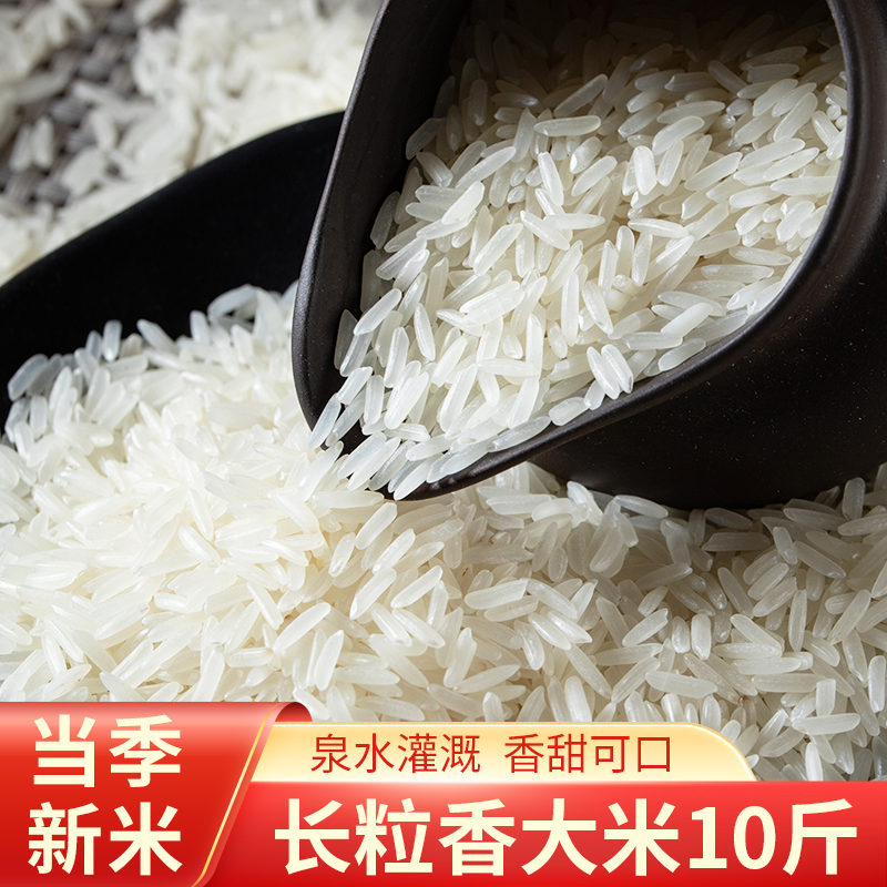 【25年新米】长粒香大米籼米南方农家自产