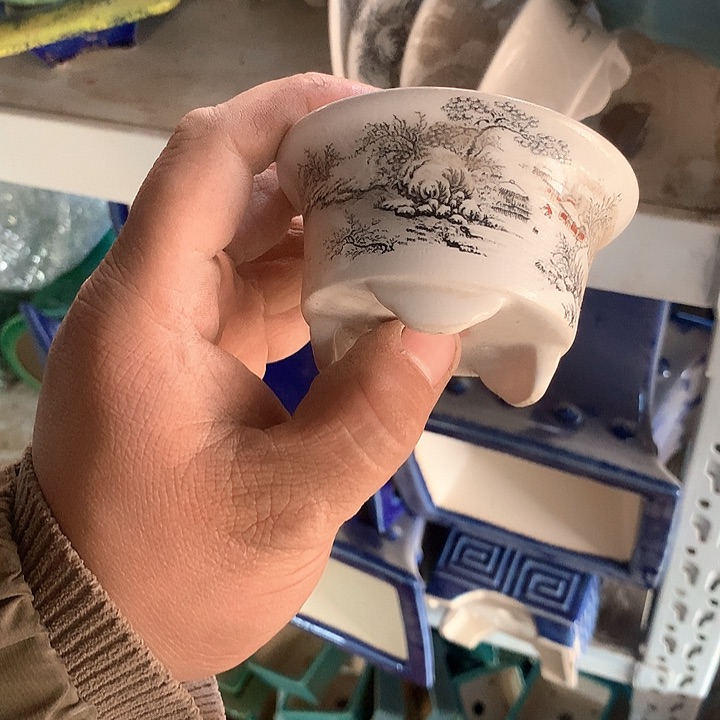 紫砂优秀青年科技人才培养的