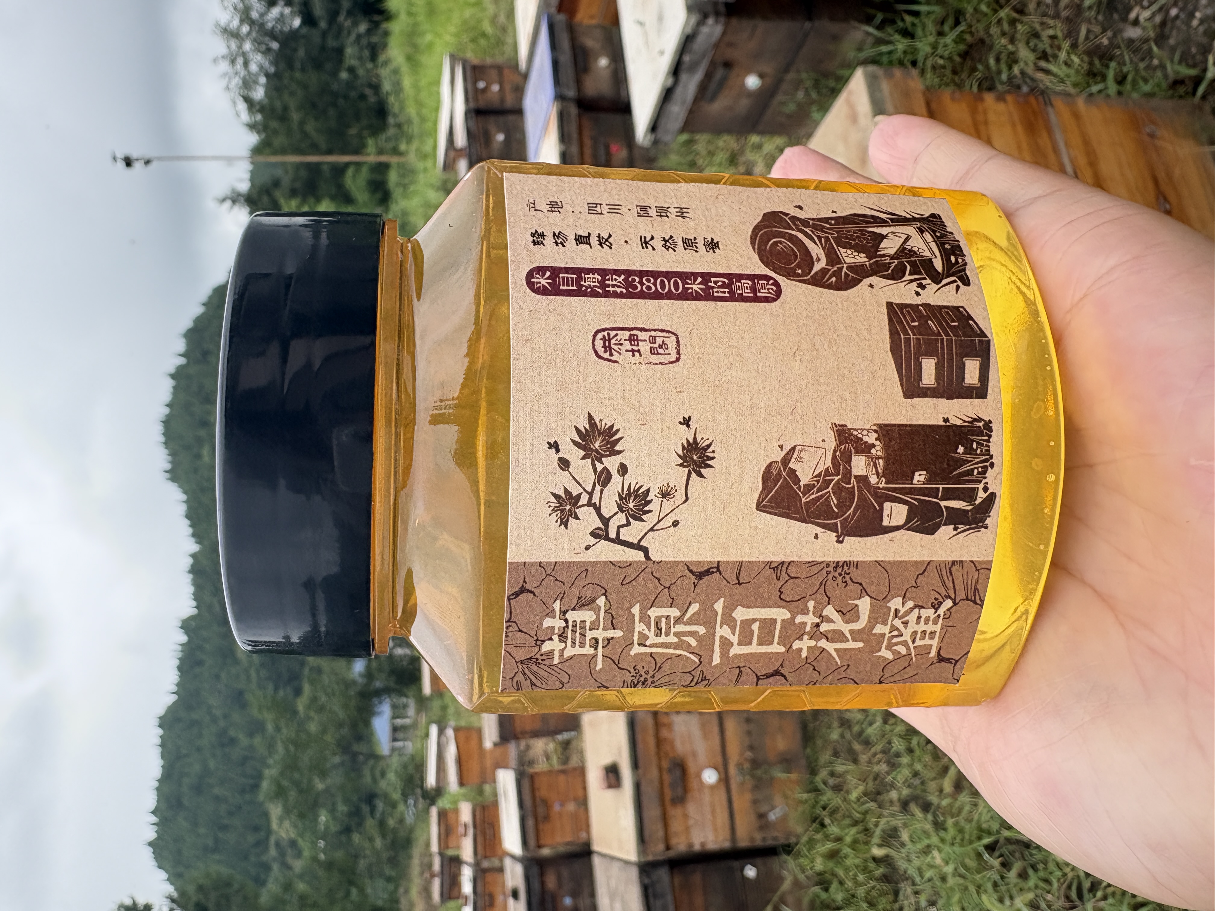 草原百花蜜高浓度高活性酶无污染高海拔原蜜蜂蜜蜂农直发吧百花蜜