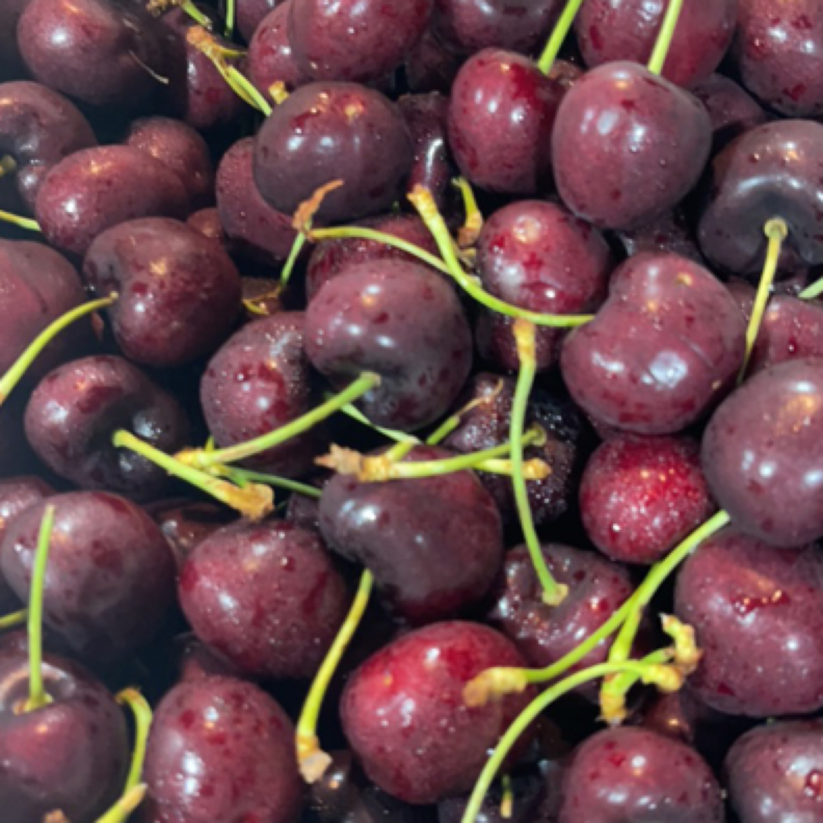 桑提娜车厘子2JD5斤件海运（硬度：踏死狗）桑提娜几内亚