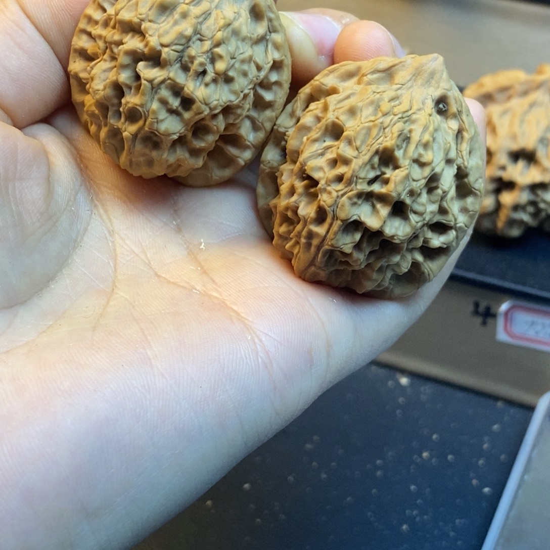 桃核吊坠秦岭秦公子36