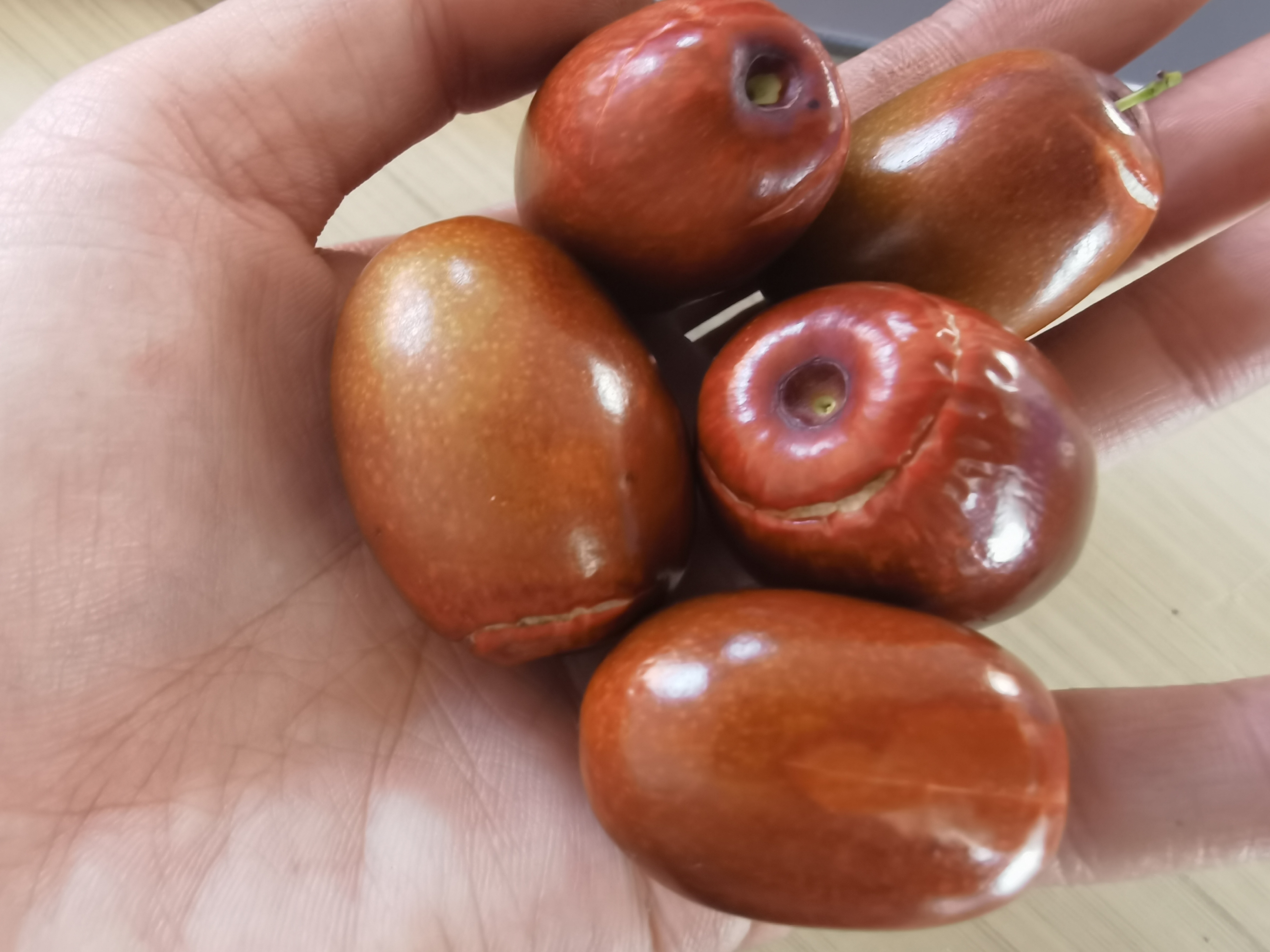 省内裂枣专拍，，轻微变软，介意勿拍