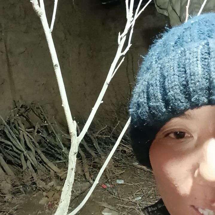 珠***珠完全开放文冠树一颗