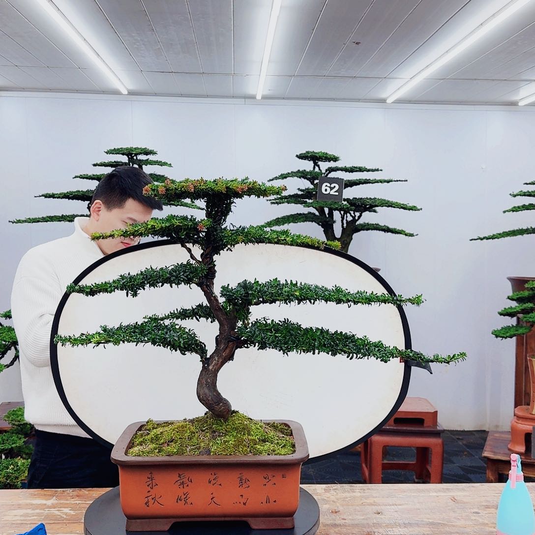 无花朵昭****流0000000000