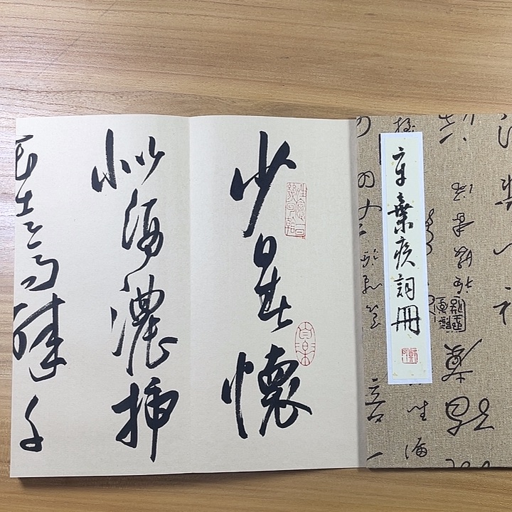 书法中书协中书协会员作品