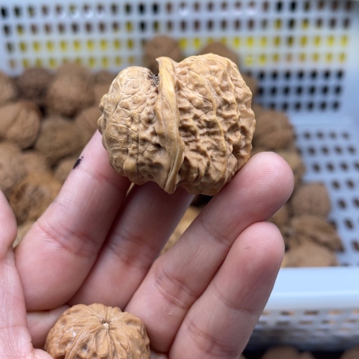 没***白文玩核桃吊坠蛇头