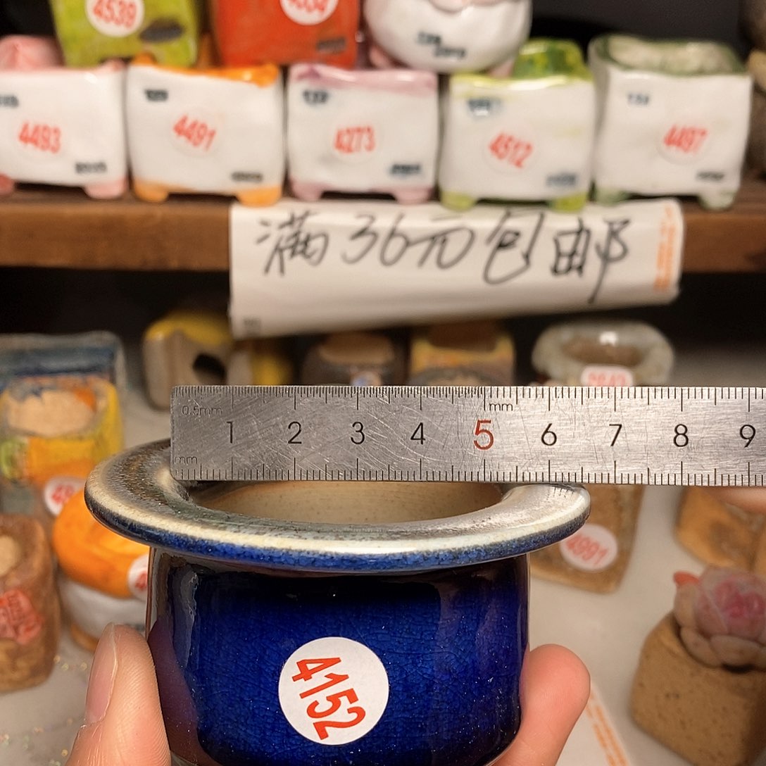 红陶拍5送一个小