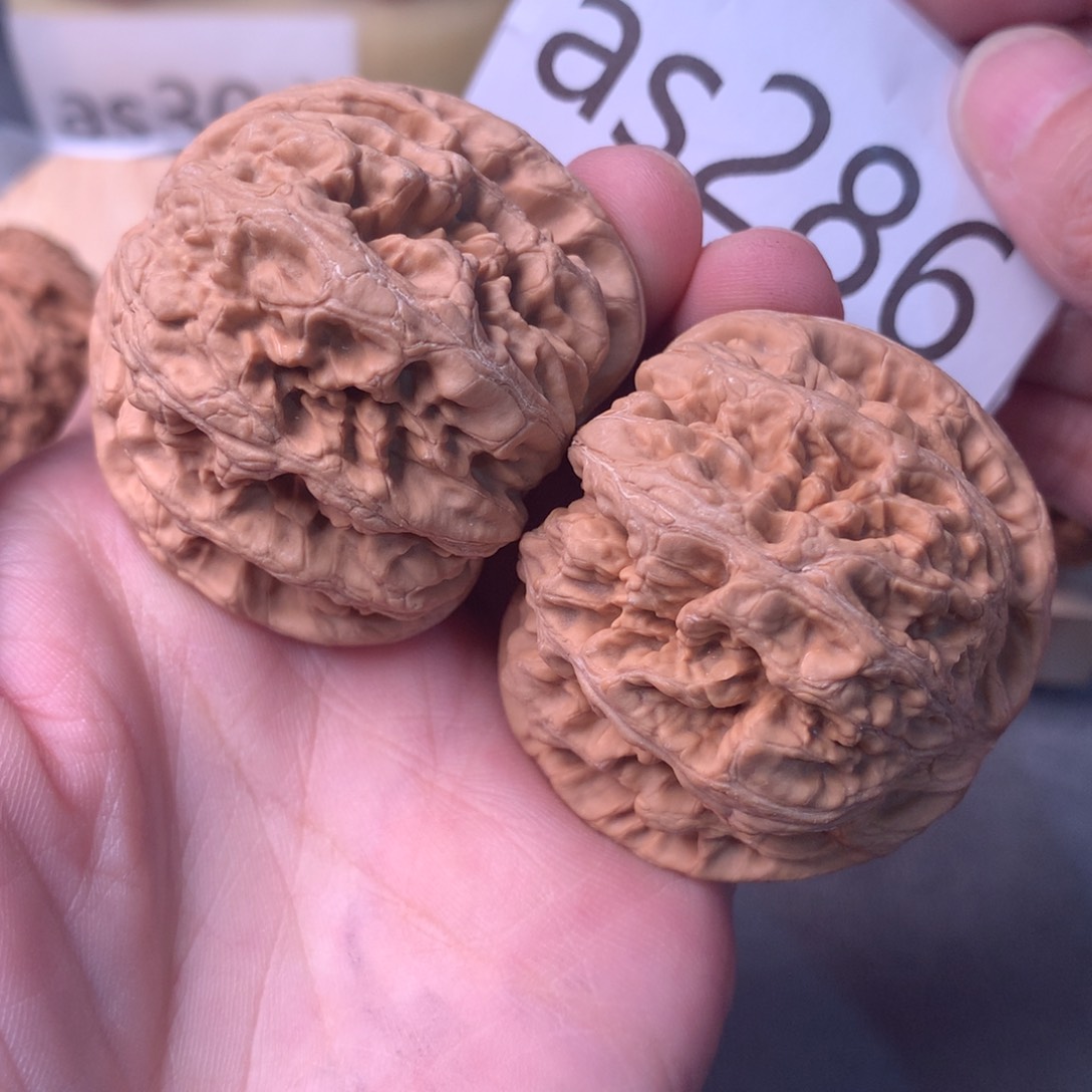 文玩核桃把件毕业肉球粗筋47