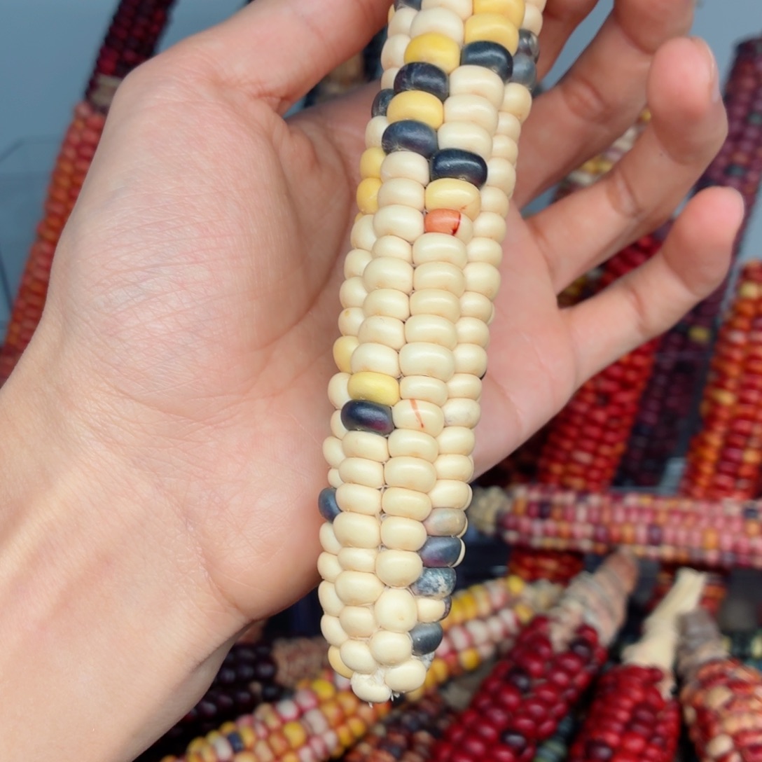 小***猫白玉菩提吊坠文玩精品文玩精品