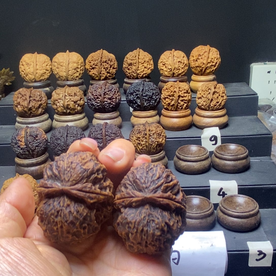 秋***韵聚宝金蝉45尺寸云铁