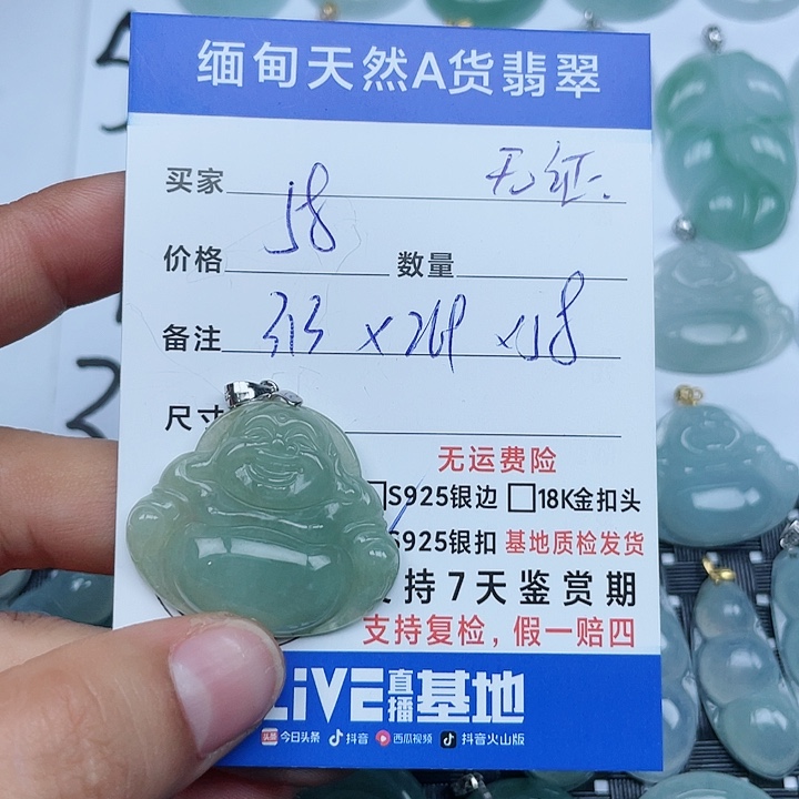 颈饰银S925镶嵌翡翠纯天然缅甸a货翡翠